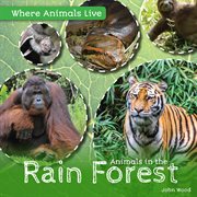 Animals in the rain forest cover image