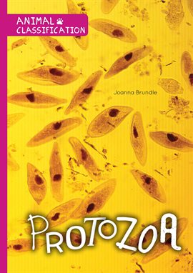 Cover image for Protozoa