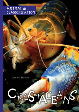 Link to Crustaceans by Joanna Brundle in Hoopla