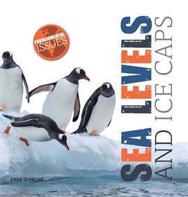 Cover image for Sea Levels and Ice Caps