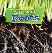 A look at roots cover image