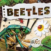 Beetles cover image