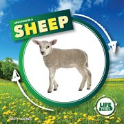 Life cycle of a sheep cover image