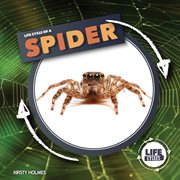 Life cycle of a spider cover image