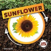 Life cycle of a sunflower cover image