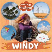 It's windy cover image