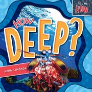 How deep? cover image