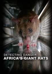 Detecting Danger - Africa's Giant Rats cover image