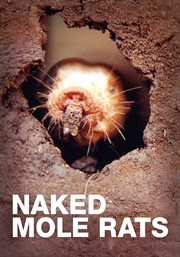 Naked Mole Rats cover image