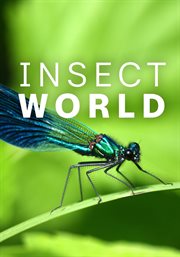Insect World cover image