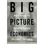 Big picture economics : how to navigate the new global economy cover image