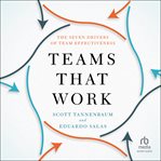 Teams that work : the seven drivers of team effectiveness cover image