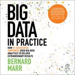Big Data in Practice : How 45 Successful Companies Used Big Data Analytics to Deliver Extraordinary Results cover image