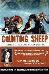 Counting sheep restoring the Sierra Nevada Bighorn cover image