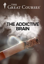 The addictive brain cover image