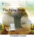 The aging brain