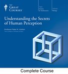Understanding the secrets of human perception cover image