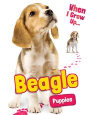 Beagle puppies cover image