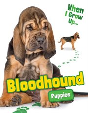 Bloodhound puppies cover image