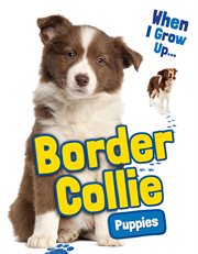 Border collie puppies cover image