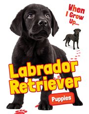 Labrador retriever puppies cover image