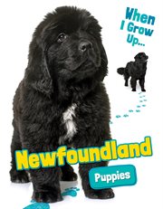Newfoundland puppies cover image