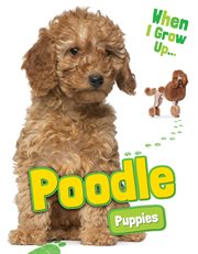 Poodle puppies cover image