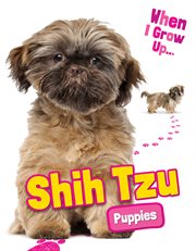 Shih tzu puppies cover image