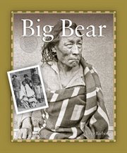Big Bear cover image