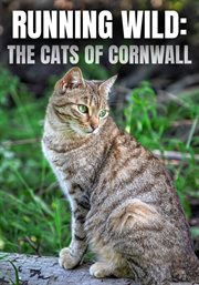Running wild : the cats of Cornwall cover image