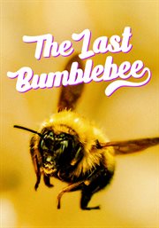 The Last Bumblebee cover image