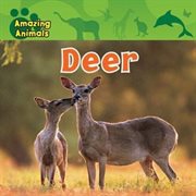 Deer cover image
