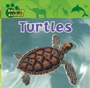 Turtles cover image