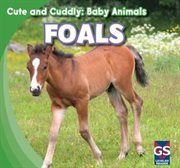 Foals cover image