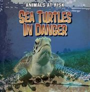 Sea Turtles in Danger cover image
