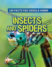 Insects and Spiders cover image