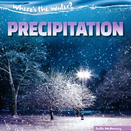 Cover image for Precipitation