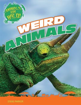 Cover image for Weird Animals