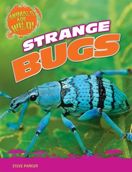 Cover image for Strange Bugs
