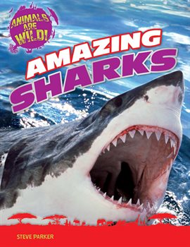 Cover image for Amazing Sharks
