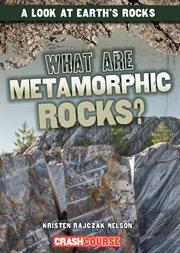 What are metamorphic rocks? cover image