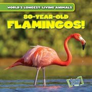 80-Year-Old Flamingos! cover image