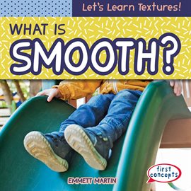 Cover image for What Is Smooth?