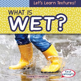 Cover image for What Is Wet?