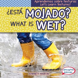 Cover image for ¿Está mojado? / What Is Wet?