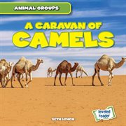 A caravan of camels cover image