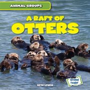 A raft of otters cover image