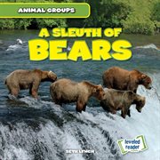 A sleuth of bears cover image