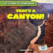 That's a canyon! cover image