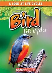 Bird life cycles cover image